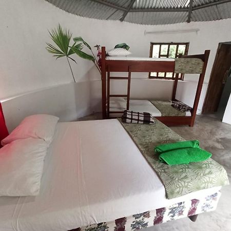 Guest House Great Hostels Amazon Puyo Zewnętrze zdjęcie