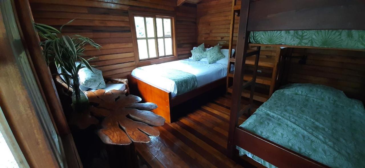 Guest House Great Hostels Amazon Puyo Zewnętrze zdjęcie