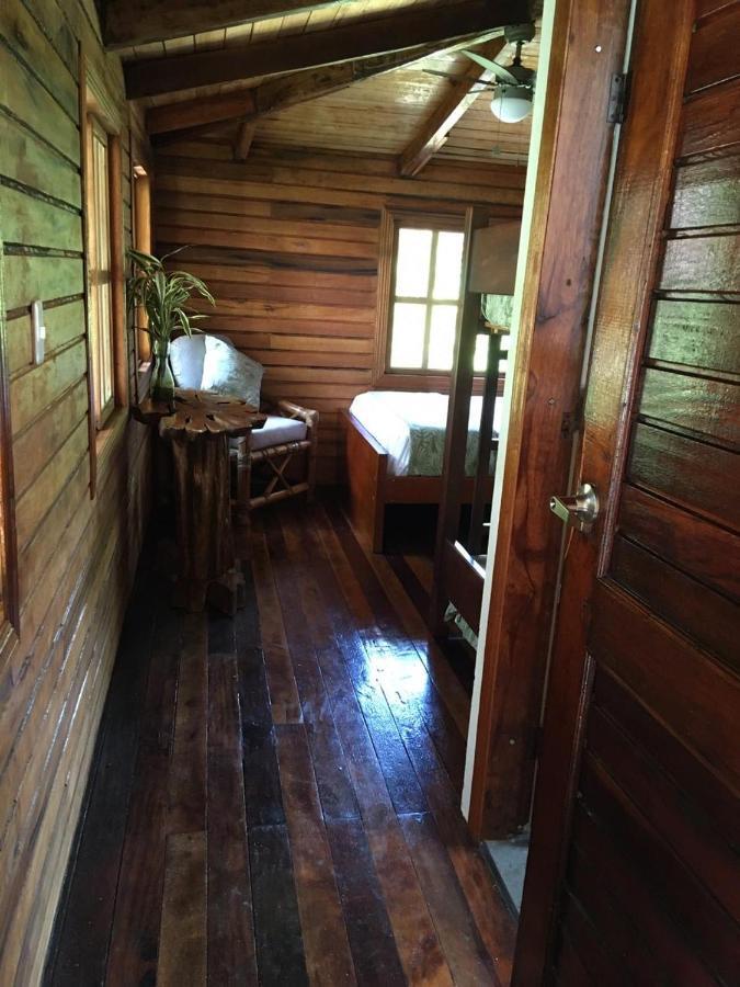 Guest House Great Hostels Amazon Puyo Zewnętrze zdjęcie